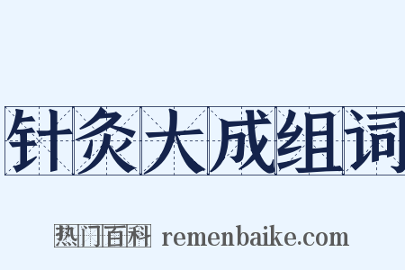 针灸大成组词是什么意思的图片